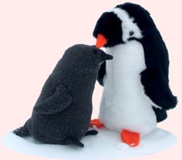 Adelie Penguins are cool friends!
