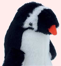 Adult Penquins are so cool!